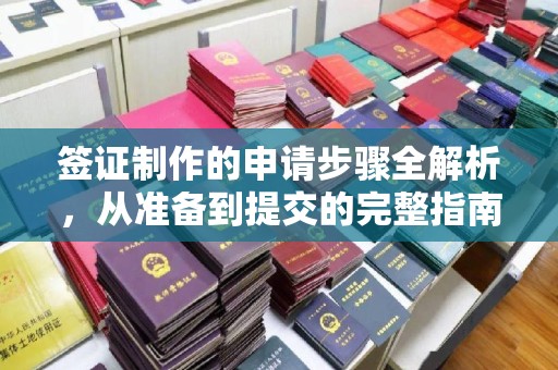 南华签证制作的申请步骤全解析，从准备到提交的完整指南